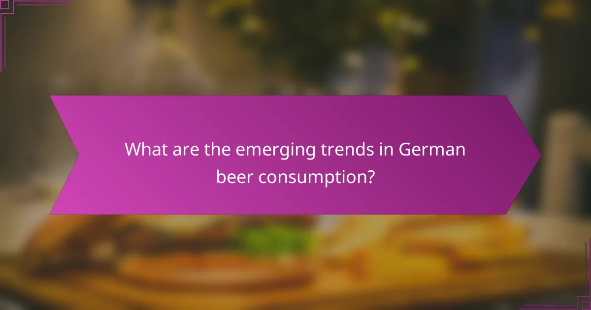What are the emerging trends in German beer consumption?