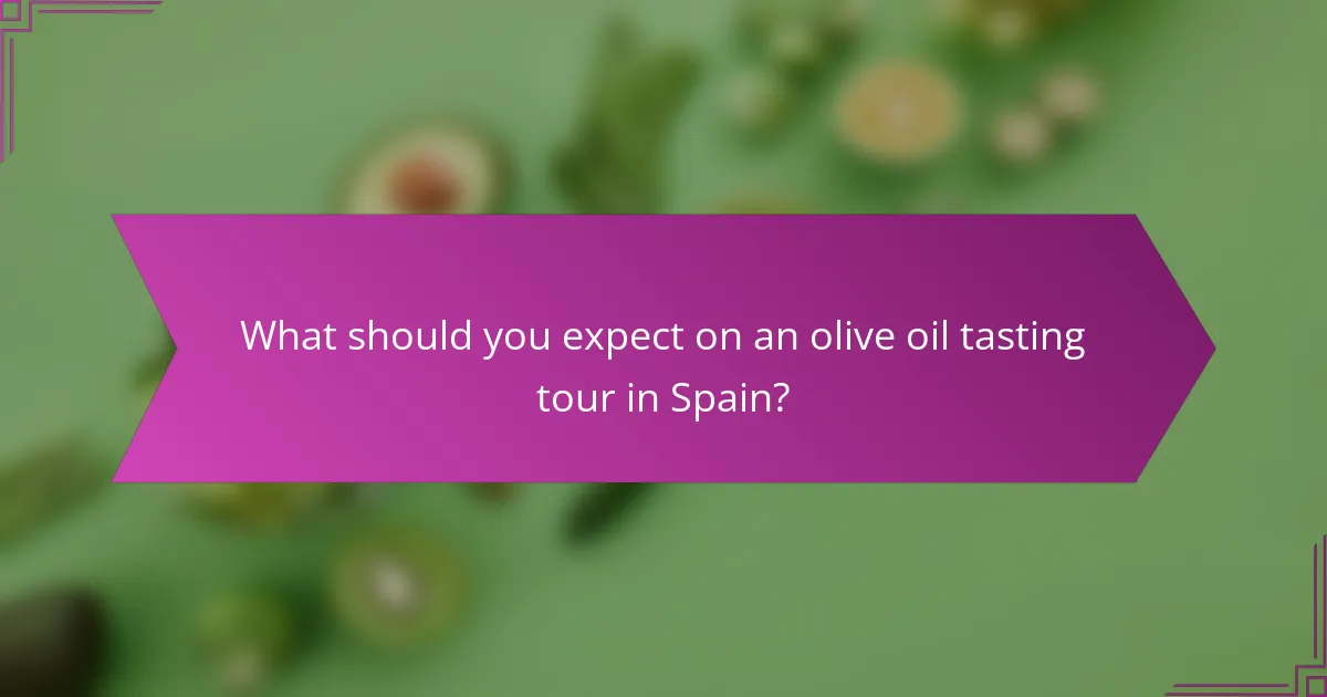 What should you expect on an olive oil tasting tour in Spain?