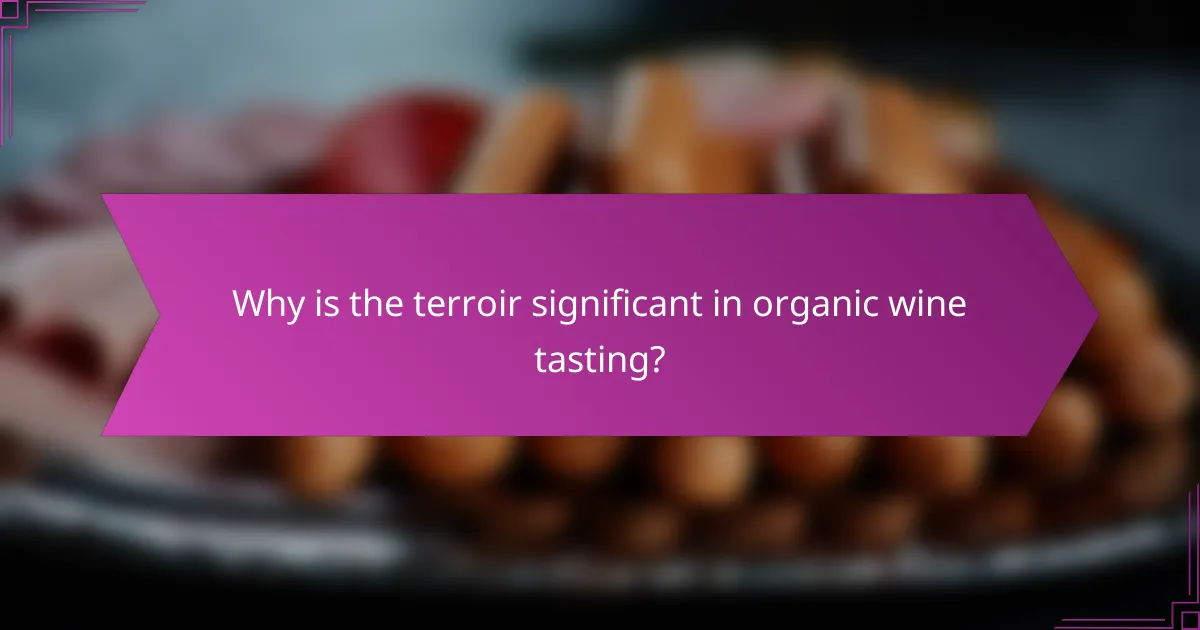 Why is the terroir significant in organic wine tasting?